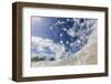 A Wave of the Caribbean Sea Breaks in Front of Fort James-Roberto Moiola-Framed Photographic Print