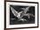 A Way of Flying, 1819-1823-Francisco de Goya-Framed Giclee Print