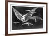 A Way of Flying, 1819-1823-Francisco de Goya-Framed Giclee Print