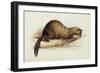 A Weasel, 1832-Edward Lear-Framed Premium Giclee Print