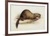 A Weasel, 1832-Edward Lear-Framed Giclee Print