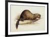 A Weasel, 1832-Edward Lear-Framed Giclee Print