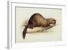 A Weasel, 1832-Edward Lear-Framed Giclee Print