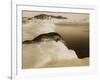 A Weddell Seal About to Dive at West Beach, Cape Evans, Antarctica, 1911-Herbert Ponting-Framed Photographic Print