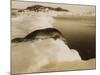 A Weddell Seal About to Dive at West Beach, Cape Evans, Antarctica, 1911-Herbert Ponting-Mounted Photographic Print