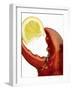 A Wedge of Lemon in a Lobster Claw-Peter Howard Smith-Framed Premium Photographic Print