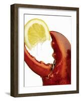 A Wedge of Lemon in a Lobster Claw-Peter Howard Smith-Framed Photographic Print