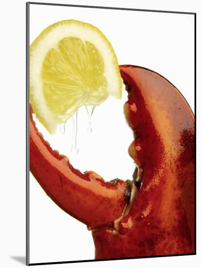 A Wedge of Lemon in a Lobster Claw-Peter Howard Smith-Mounted Photographic Print