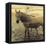 A Welcome Distraction-Casey Mckee-Framed Stretched Canvas