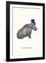 A Well Attired Hippo-Gwen Aspall-Framed Giclee Print