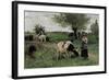 A Well-Guarded Cow-Edouard Debat-Ponsan-Framed Giclee Print