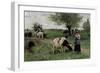 A Well-Guarded Cow-Edouard Debat-Ponsan-Framed Giclee Print