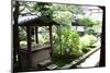 A Well in Back of the Temple, Japanese Garden-Ryuji Adachi-Mounted Art Print