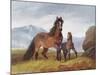 A Welsh Mountain Mare and Foal, 1854-John Frederick Herring I-Mounted Giclee Print