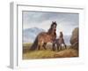 A Welsh Mountain Mare and Foal, 1854-John Frederick Herring I-Framed Giclee Print