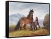 A Welsh Mountain Mare and Foal, 1854-John Frederick Herring I-Framed Stretched Canvas