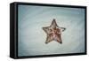 A West Indian Starfish on the Seafloor in Turneffe Atoll, Belize-Stocktrek Images-Framed Stretched Canvas