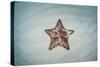 A West Indian Starfish on the Seafloor in Turneffe Atoll, Belize-Stocktrek Images-Stretched Canvas