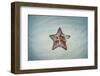 A West Indian Starfish on the Seafloor in Turneffe Atoll, Belize-Stocktrek Images-Framed Photographic Print