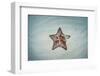 A West Indian Starfish on the Seafloor in Turneffe Atoll, Belize-Stocktrek Images-Framed Photographic Print