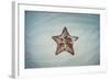 A West Indian Starfish on the Seafloor in Turneffe Atoll, Belize-Stocktrek Images-Framed Photographic Print