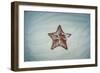 A West Indian Starfish on the Seafloor in Turneffe Atoll, Belize-Stocktrek Images-Framed Photographic Print