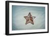 A West Indian Starfish on the Seafloor in Turneffe Atoll, Belize-Stocktrek Images-Framed Photographic Print