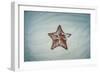 A West Indian Starfish on the Seafloor in Turneffe Atoll, Belize-Stocktrek Images-Framed Photographic Print