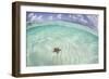 A West Indian Starfish on the Seafloor in Turneffe Atoll, Belize-Stocktrek Images-Framed Photographic Print