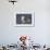 A Western Gull on the Southern California Coast-Neil Losin-Framed Photographic Print displayed on a wall