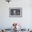 A Western Gull on the Southern California Coast-Neil Losin-Framed Photographic Print displayed on a wall