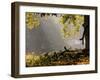 A Western Jackdaw, Corvus Monedula, in a Misty Autumn Landscape-Alex Saberi-Framed Photographic Print