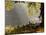 A Western Jackdaw, Corvus Monedula, in a Misty Autumn Landscape-Alex Saberi-Mounted Photographic Print