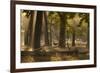 A Western Jackdaw, Corvus Monedula, Lands in Misty Forest in Autumn-Alex Saberi-Framed Photographic Print