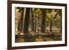 A Western Jackdaw, Corvus Monedula, Lands in Misty Forest in Autumn-Alex Saberi-Framed Photographic Print