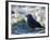 A Western Jackdaw on a Branch on a Cold Winter Morning-Alex Saberi-Framed Photographic Print
