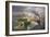 A Wet Evening - Katoomba-John Bradley-Framed Giclee Print