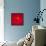 A Wet Tomato on a Red Surface-Dave King-Framed Stretched Canvas displayed on a wall