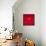 A Wet Tomato on a Red Surface-Dave King-Framed Stretched Canvas displayed on a wall