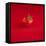 A Wet Tomato on a Red Surface-Dave King-Framed Stretched Canvas