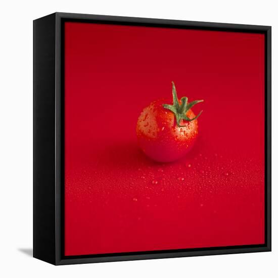 A Wet Tomato on a Red Surface-Dave King-Framed Stretched Canvas