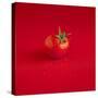 A Wet Tomato on a Red Surface-Dave King-Stretched Canvas