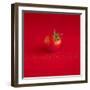 A Wet Tomato on a Red Surface-Dave King-Framed Photographic Print