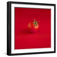 A Wet Tomato on a Red Surface-Dave King-Framed Photographic Print