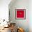 A Wet Tomato on a Red Surface-Dave King-Framed Photographic Print displayed on a wall