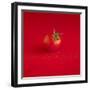 A Wet Tomato on a Red Surface-Dave King-Framed Photographic Print