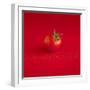 A Wet Tomato on a Red Surface-Dave King-Framed Photographic Print