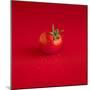 A Wet Tomato on a Red Surface-Dave King-Mounted Photographic Print