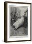 A Whale at Millwall-null-Framed Giclee Print