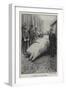 A Whale at Millwall-null-Framed Giclee Print